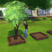 Запись: Гайд по весенним испытаниям в The Sims 4