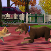 Запись: Аниматор The Sims 4 работает с «четвероногими»