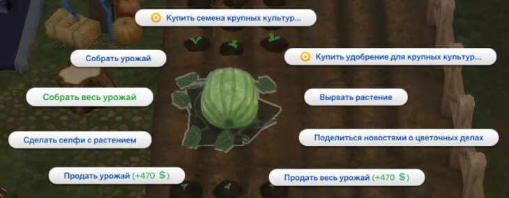 симс 4 загородная жизнь действия с крупными культурами сбор урожая
