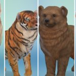 12 животных, воссозданных в «The Sims 4: Кошки и собаки»