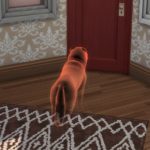 Как заставить питомца повзрослеть или воскресить его в «The Sims 4: Кошки и собаки»